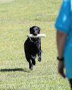 20160911-0459
