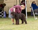 20160930-0230