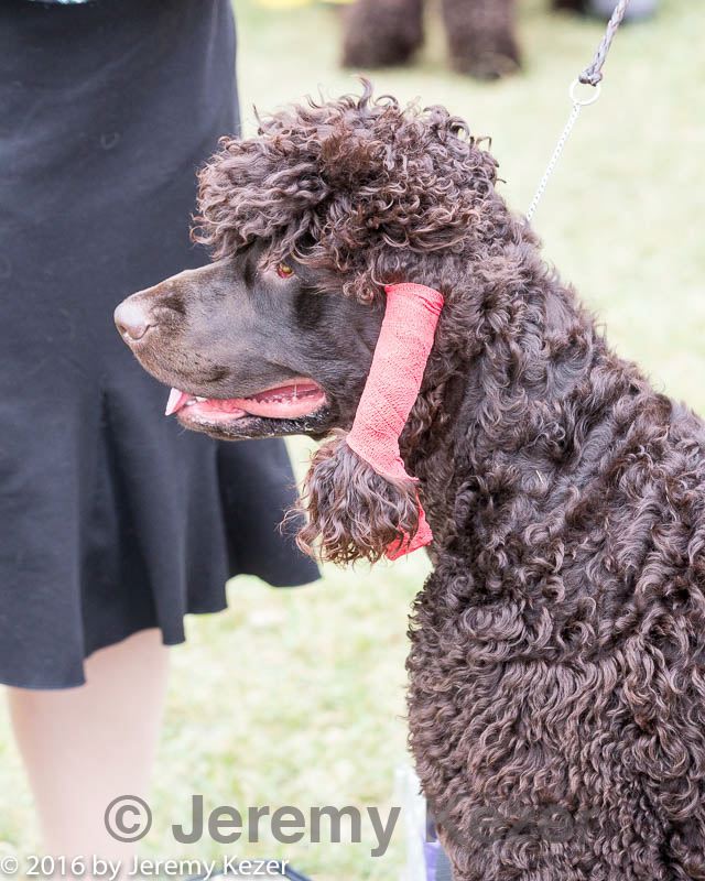 20160930-0075.jpg