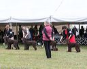 20161001-0518