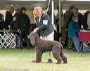 20161001-0702