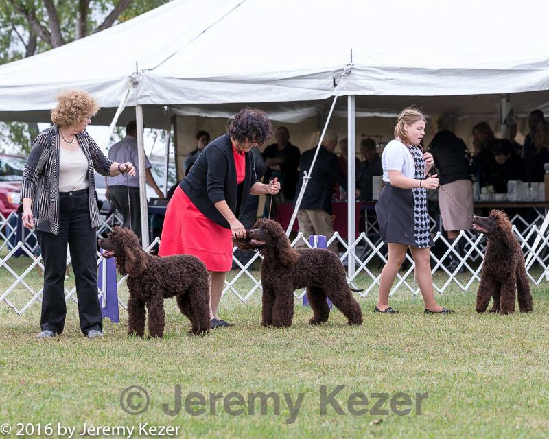 20161001-0445.jpg