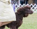 20161001-0199