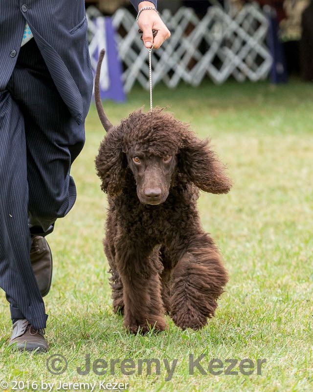 20161001-0246.jpg