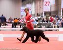 20161215-rc-0046