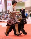 20161215-rc-0072