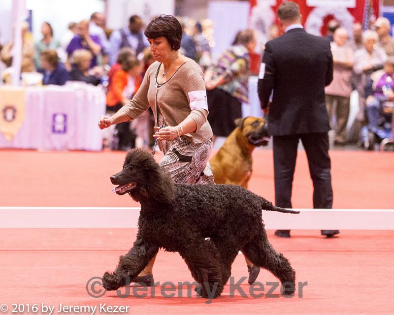 20161215-rc-0163.jpg