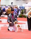 20161216-rc-0129