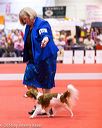 20161216-rc-0136