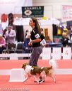 20161216-rc-0044