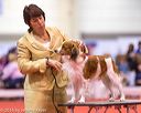 20161216-rc-0045