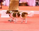 20161216-rc-0060