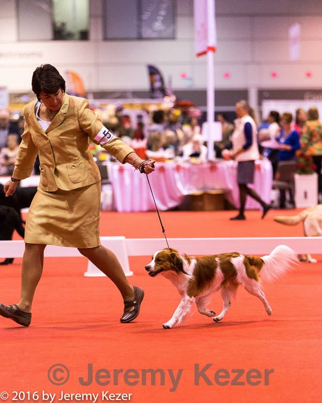 20161216-rc-0047.jpg