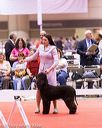 20161216-rc-0281