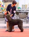 20161217-rc-0034