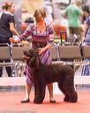 20161217-rc-0036