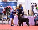 20161217-rc-0061