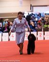 20161217-rc-0028