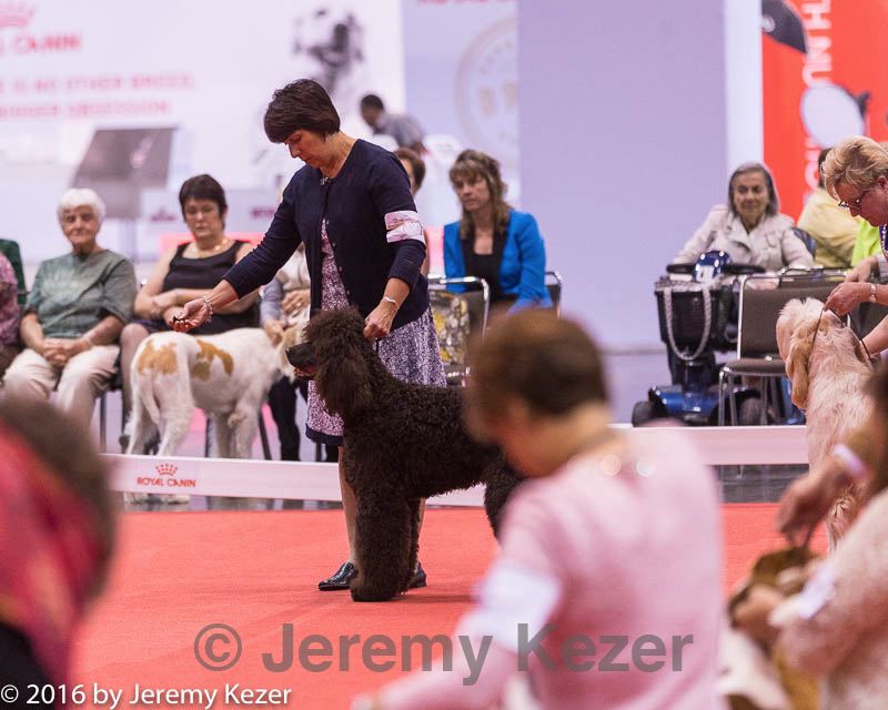 20161217-rc-0264.jpg