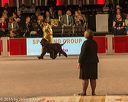 20161217-rc-0292