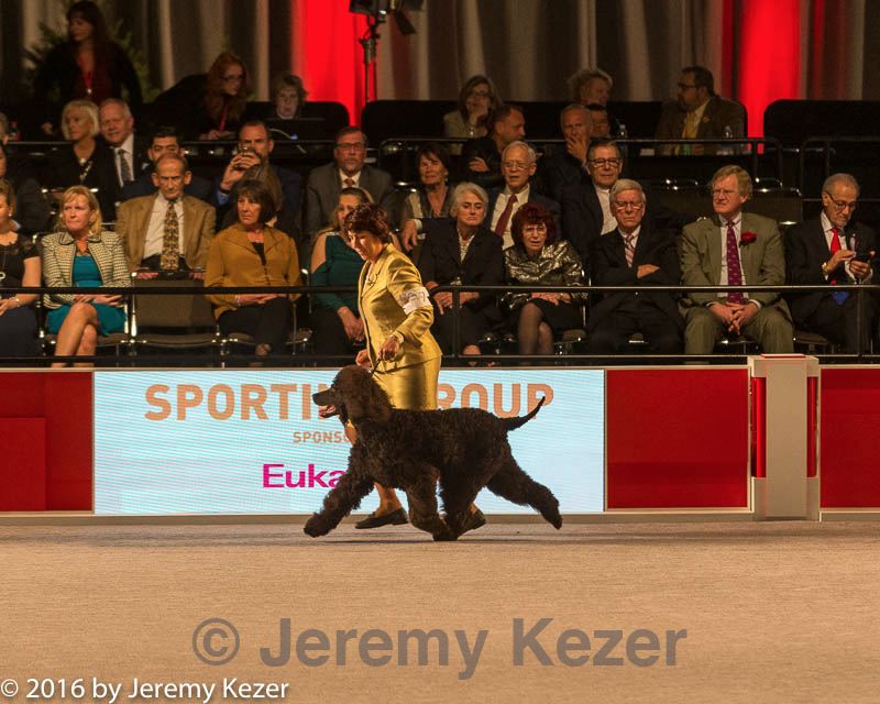 20161217-rc-0285.jpg