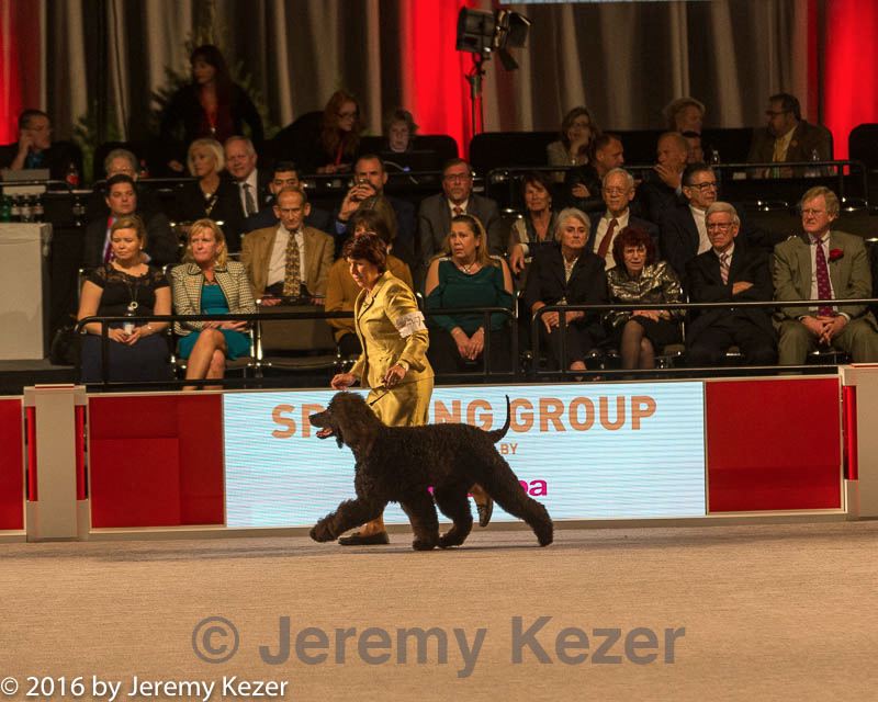 20161217-rc-0287.jpg