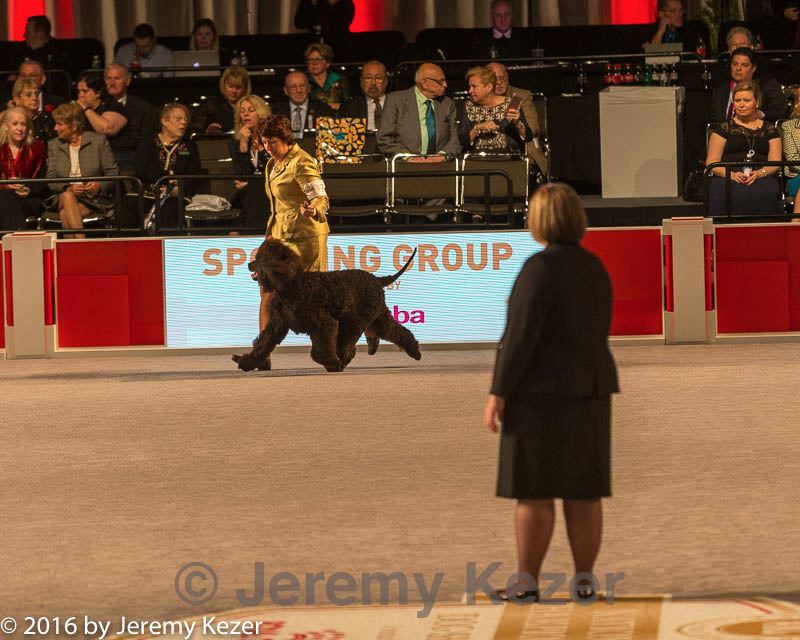 20161217-rc-0292.jpg