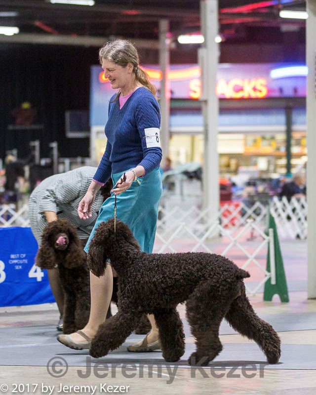 20170408-0134.jpg