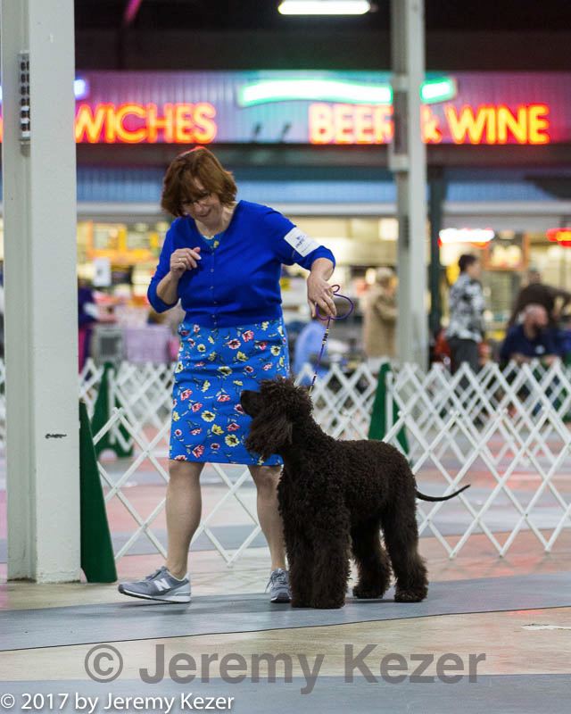 20170408-0079.jpg