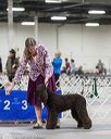 20170409-0110