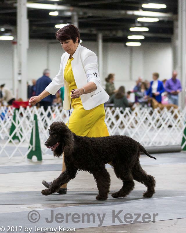 20170409-0006.jpg