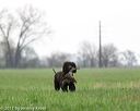 20170425-wcl-0101
