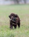 20170425-wcxl-0100
