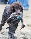 20170425-wcxw-0090