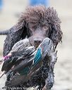 20170425-wcxw-0093