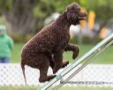 20170426-ag-0620