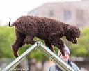 20170426-ag-0626