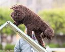 20170426-ag-0629