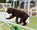 20170426-ag-0635