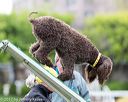 20170426-ag-0648