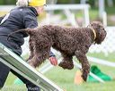 20170426-ag-0652