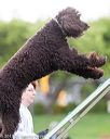 20170426-ag-0550