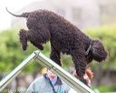 20170426-ag-0555