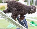 20170426-ag-0561