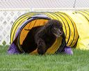 20170426-ag-0583