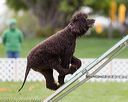 20170426-ag-0588