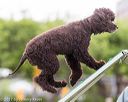 20170426-ag-0591