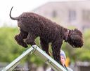 20170426-ag-0594