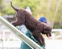 20170426-ag-0961