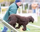 20170426-ag-0964